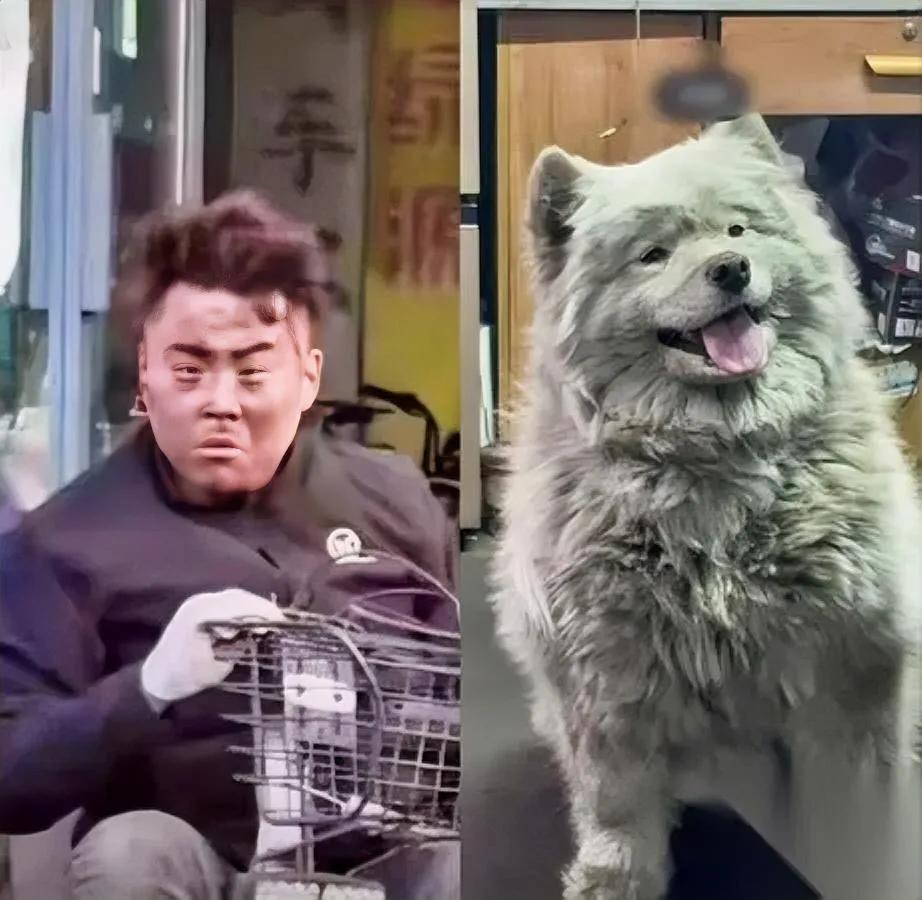 这狗脏得没法看却全厂子都宠它它可是汽修厂的正牌“嫡公主”十五啊。本来是一