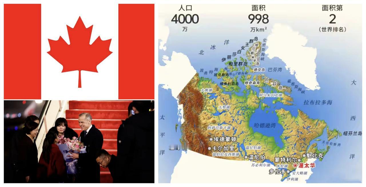 ✨中国和加拿大经济完全互补✨——这次卡尼来访，简言之，就是跟中国谈经贸合作的