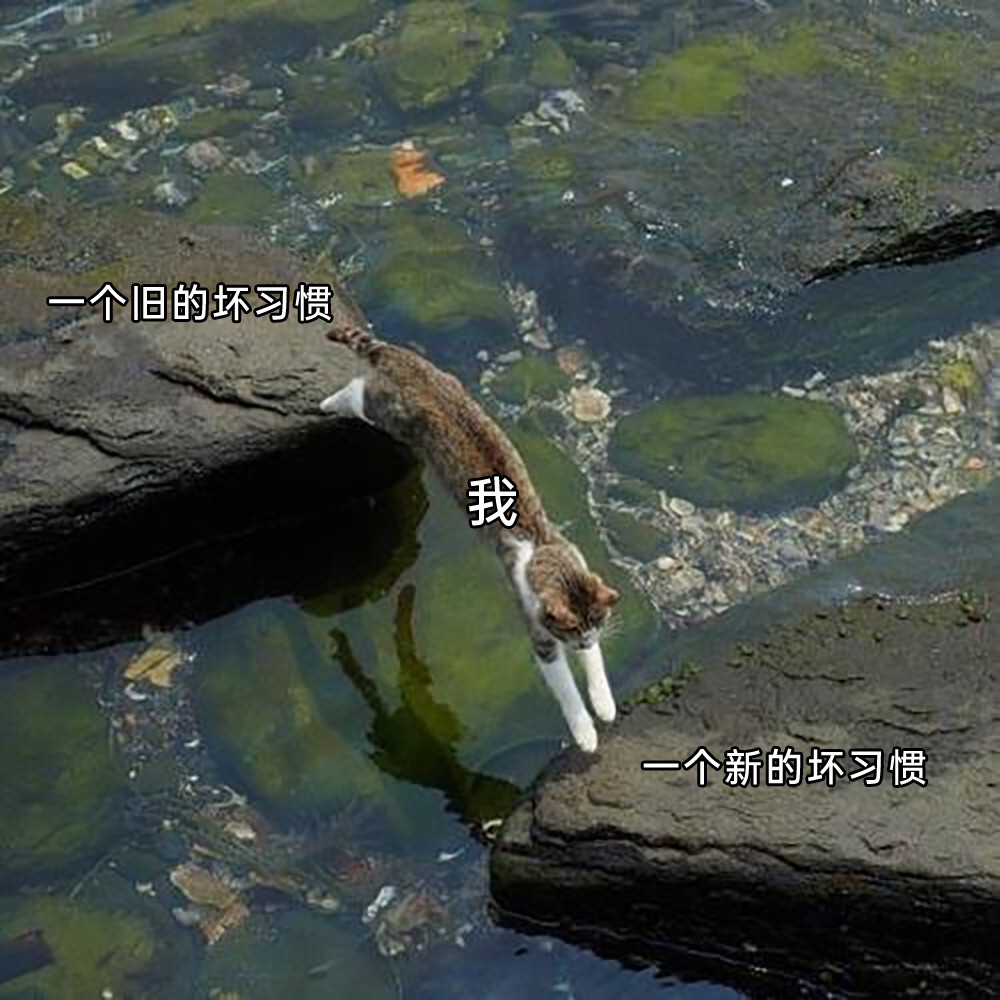 人!Doyoulove咪？​​​