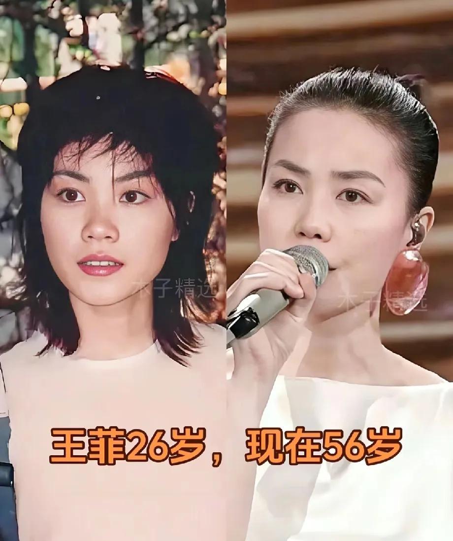 窦唯、李亚鹏、谢霆锋三个男人都很优秀帅帅的，王菲这一辈子值了。#王菲究竟有多美#