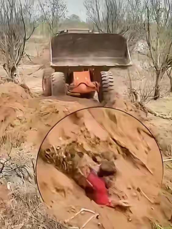 这村支书，简直无法无天，古今奇闻4月16日，山西代县水峪村原村支书任某某，因土