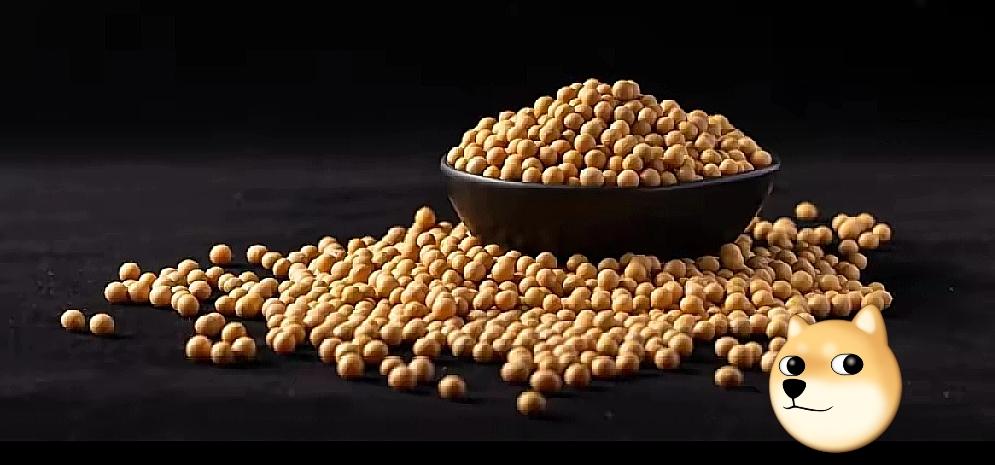 中国最近太难不买美国大豆，巴西大豆猛涨价，阿拉根大豆涨价，中国难道非要买大豆？能