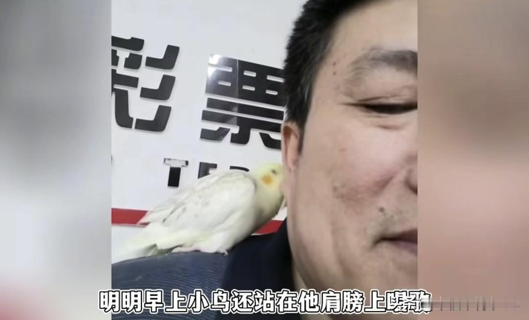 彩票店大哥的玄凤鹦鹉被狗咬死，哭了一整夜烟台有个彩票站大哥，爱鸟如命，养了
