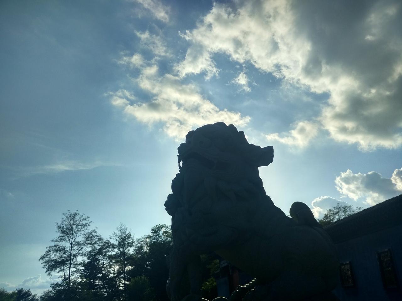 商业化管理框架，倒逼医者陷入“高效必出错”的困局今天的医疗行业，早已经处于商