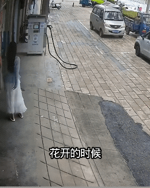 穿了新裙子看把你给得瑟的！[捂脸哭]