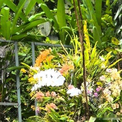 每个孩子都是一座宝藏善行是无声的诗，是人性最美的表达。无需计较得失，每一次伸出援