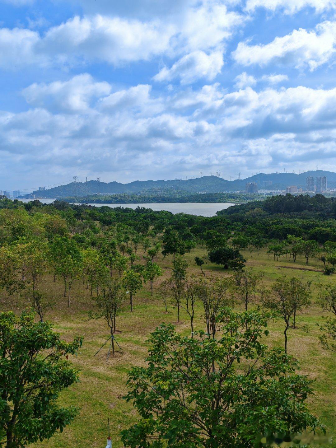 公园太大了，没几个人，深圳·石岩环湖碧道陌上花公园