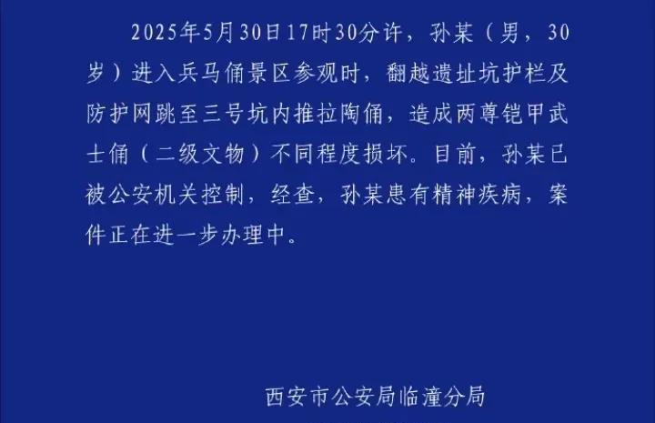 男子跳入兵马俑坑后续，经查，男子孙某30岁，患有精神疾病！破坏两尊铠甲武士俑（