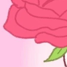 每日一善种植银莲花：一、种植时间最佳种植时间为8月至10月（秋季）或3月至