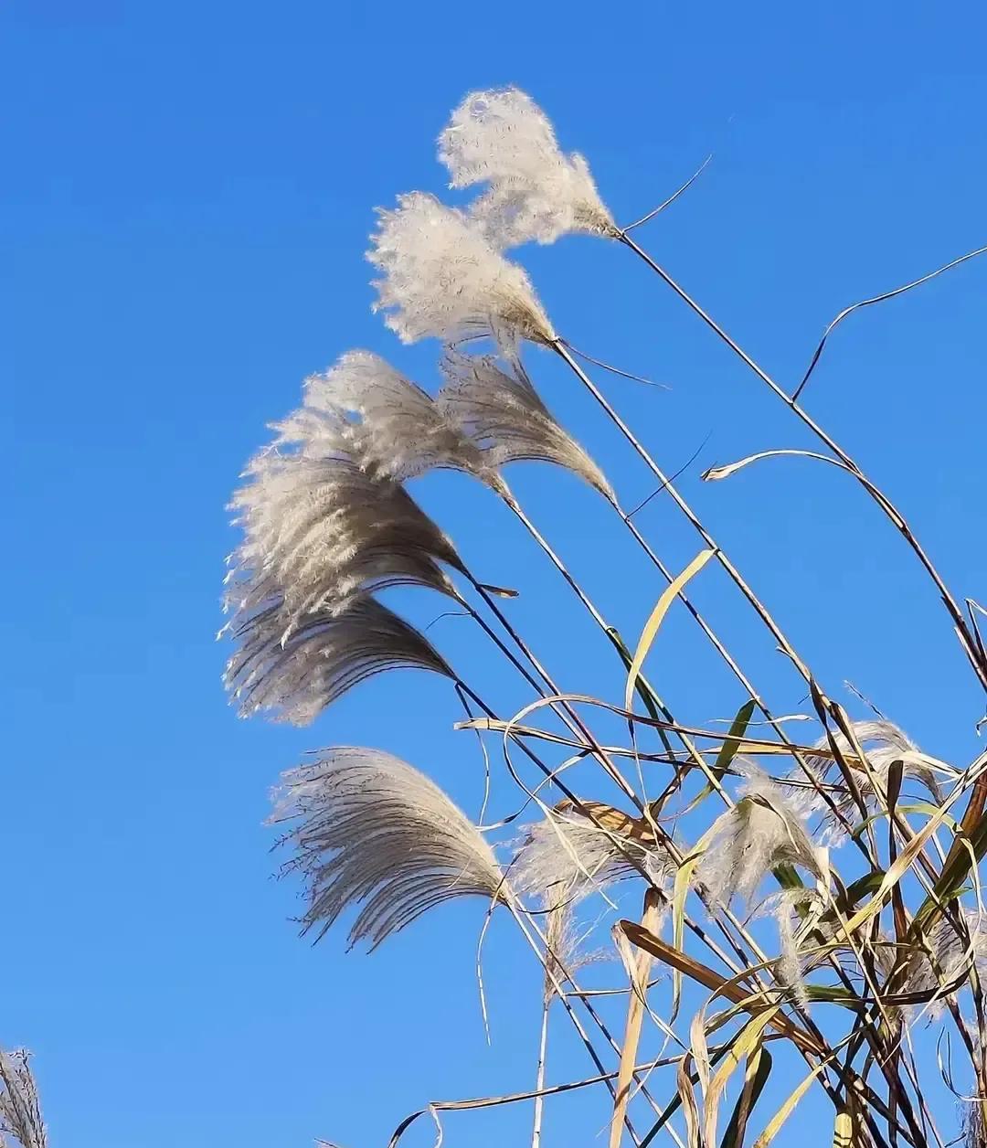 北大医学部本博连读，读了五年居然要把白大褂脱了去“画画”？这事儿搁谁家不得炸锅
