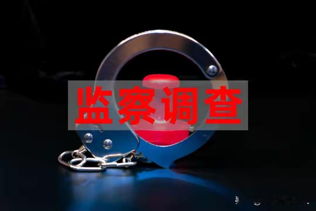 咋回事？这事闹的，这大过年的，现在纪委监委查腐败分子怎么这么厉害？我才刚刚看到。