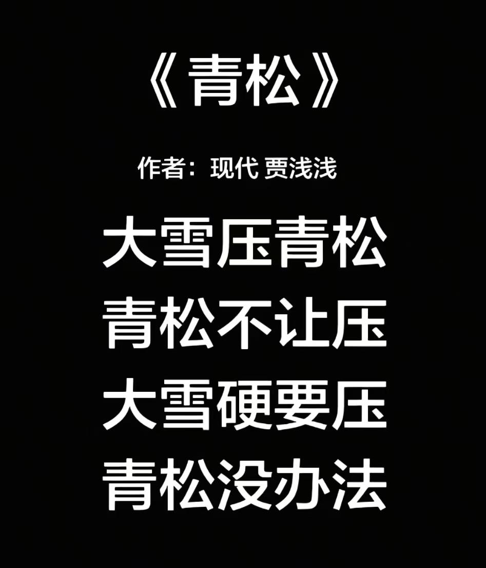 涉嫌抄袭风波贾浅浅老师的新作大家看了吗，题目是青松！大雪压青松，青松不让压！大雪