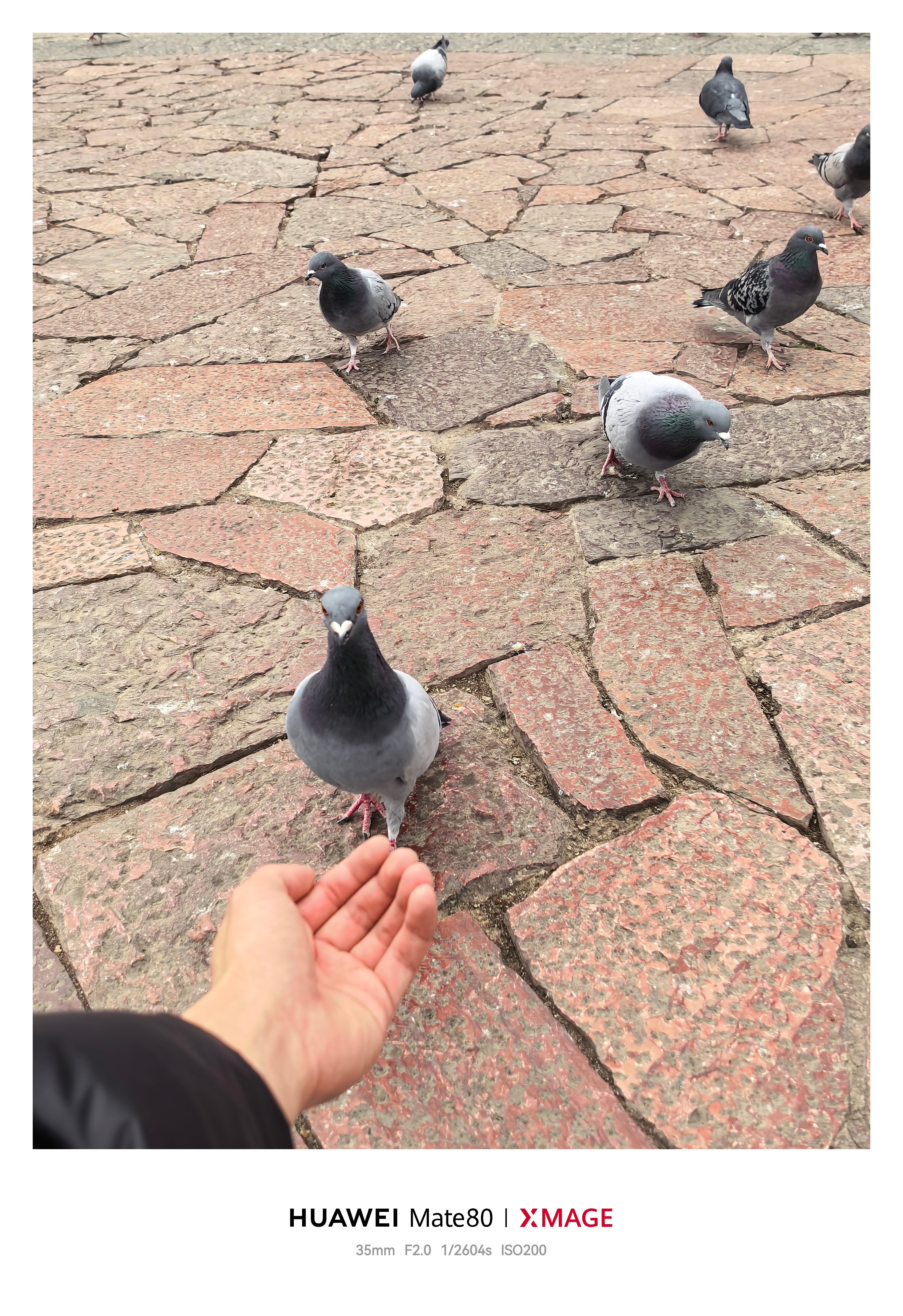 感觉它很想给我来一口