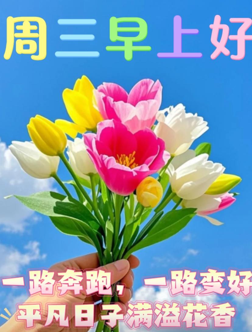 🌺☘️2026./4.22.周二春晨祝福🌺🌿☀️新的一天，阳光正好，清