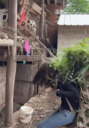 这么漂亮能干的女孩子不得不让人尊敬，美女你少搞点啦![赞]