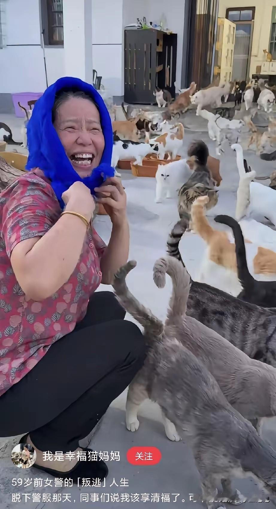 上海59岁退休女民警收养260只流浪猫，和它们一起住在大别墅里，仅靠退休金和自媒