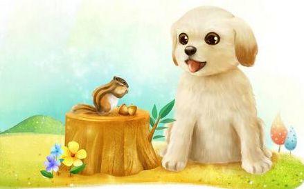 2018年忠诚的狗宝宝最适宜叫这些名字 且不易与别的宝宝重名, 快来认领一个吧!