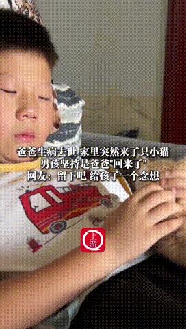 “科学解释不清了！”河南，父亲因病去世，男孩梦见爸爸变成了小猫，结果一睡醒，家里