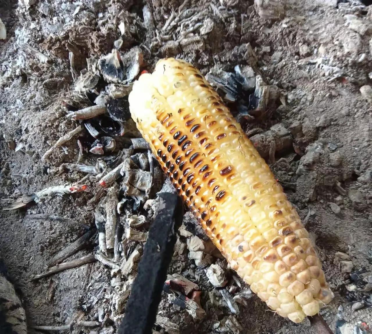 烧玉米曾经是夏天最好的零食！