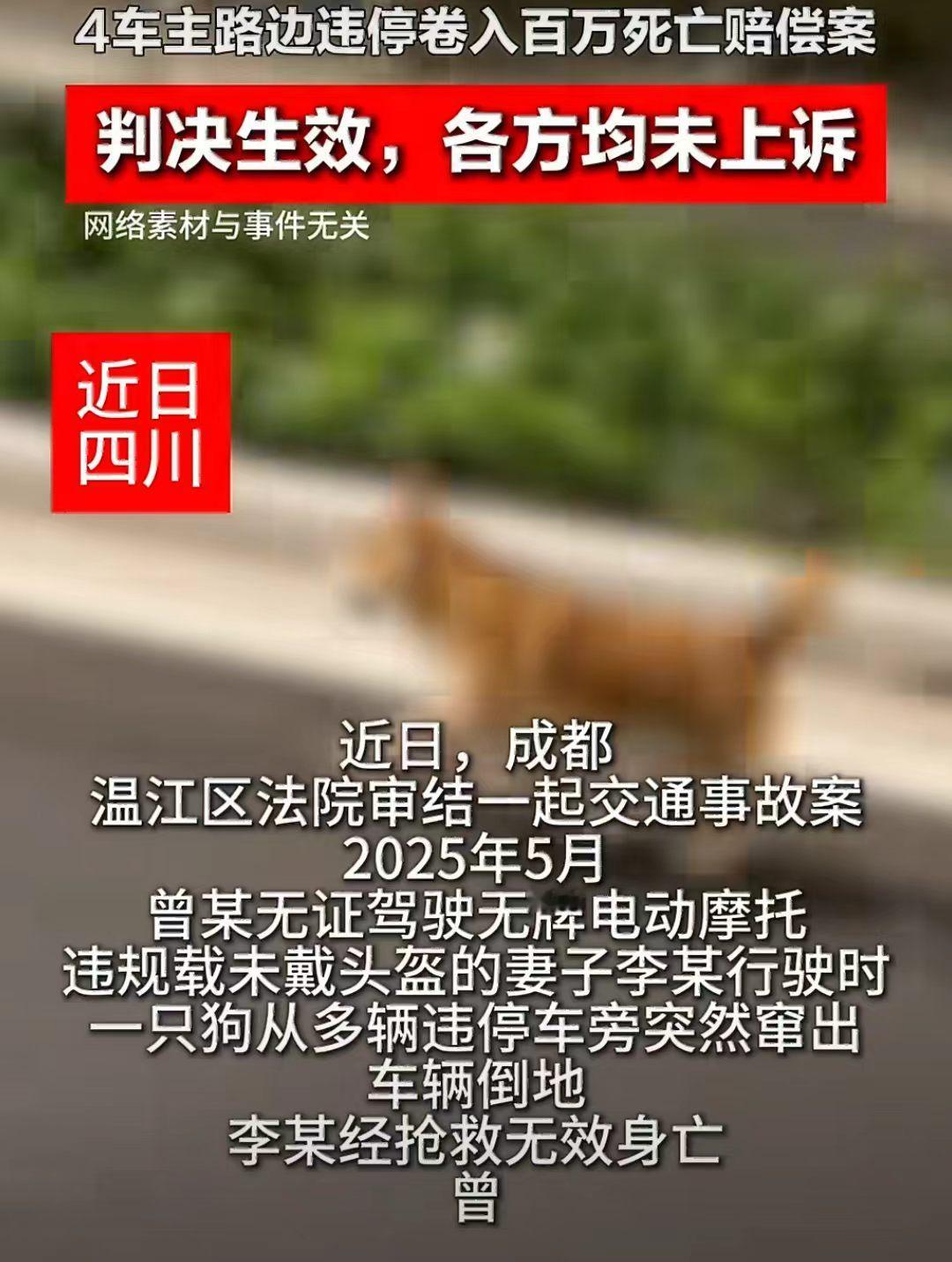 骑电动车买菜，一条狗窜了出来，把曾先生吓的摔在地上，曾先生妻子直接摔死了，找不到