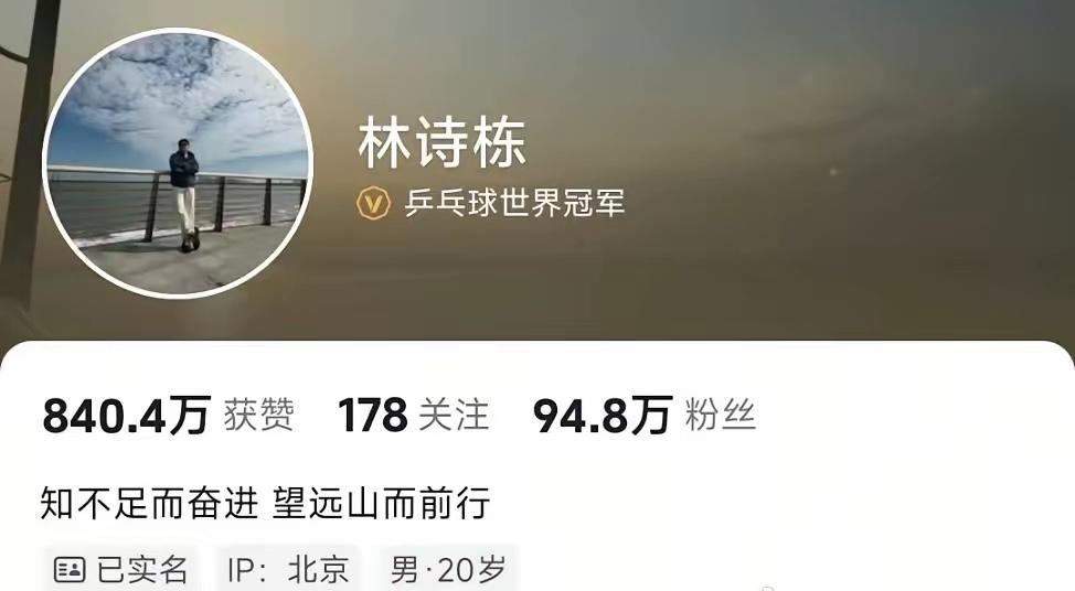 林诗栋退赛，个人简介更新，简单12个字，有着积极向上的开局，令我看到了他未来