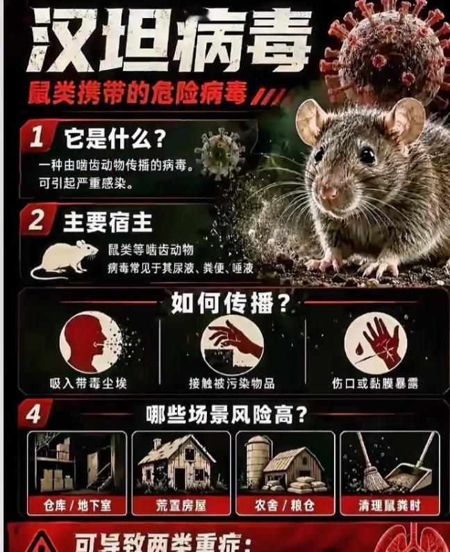 又来这套？西方媒体自己都不嫌腻！03年非典、20年新冠、26年汉坦病毒，每