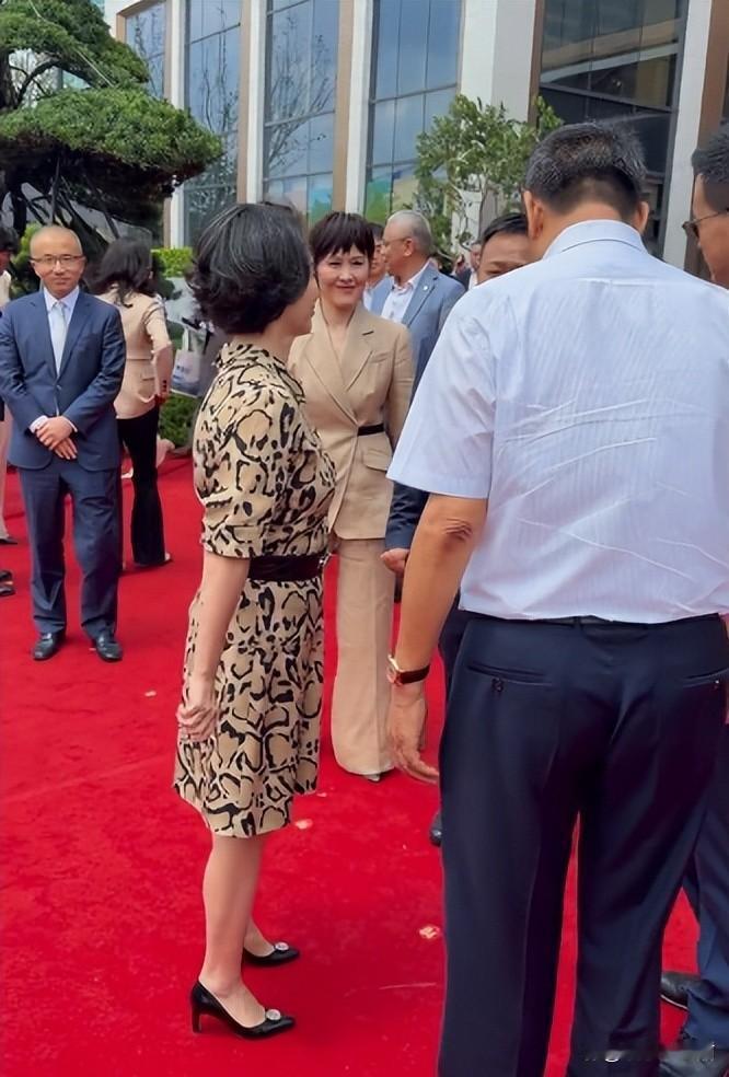 何超琼现身深圳酒店剪彩！满头白发尽显沧桑，气场强大​
