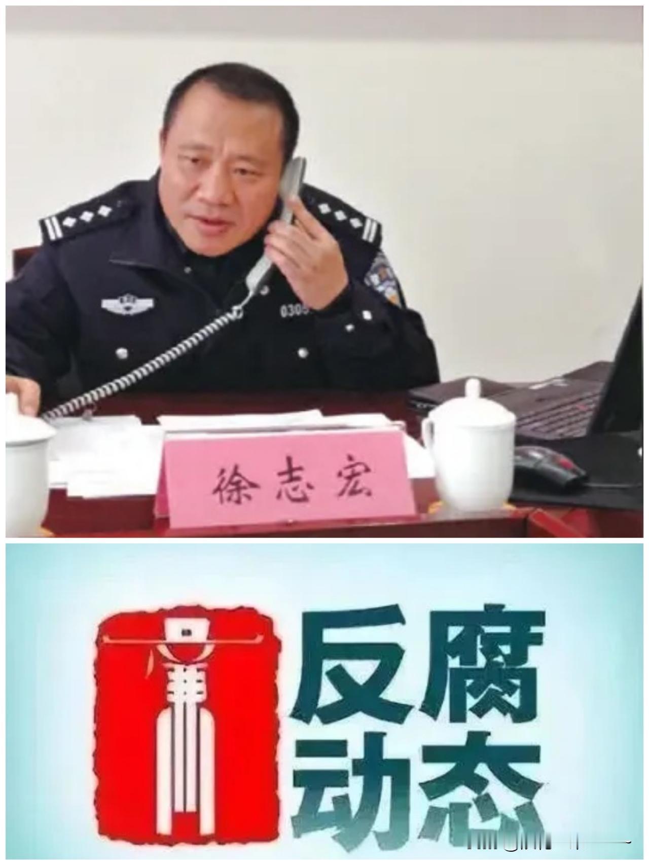 …就在刚刚，6月1日，看到了一个反腐消息，厅官“徐志宏”主动投案了！于