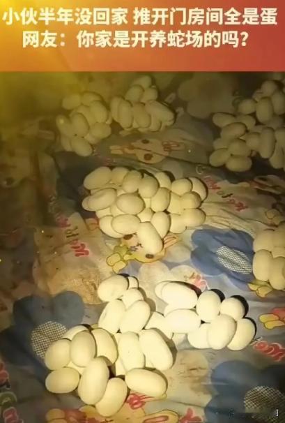 吓哭了！6月12日，江西一小伙整整半年没有回过家，最近，他返回自己久无人居的住处