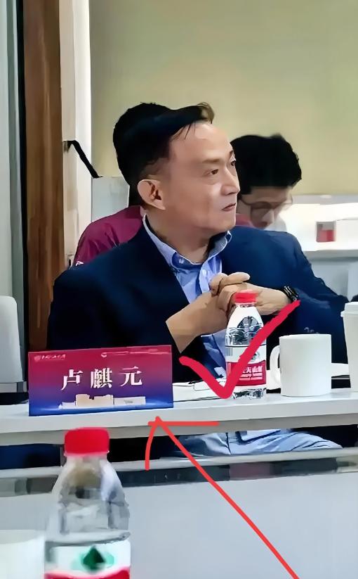 卢麒元这桩事，越想越觉得憋屈，这人挺有意思，说话弯弯绕绕，好多词儿还得打着引号，