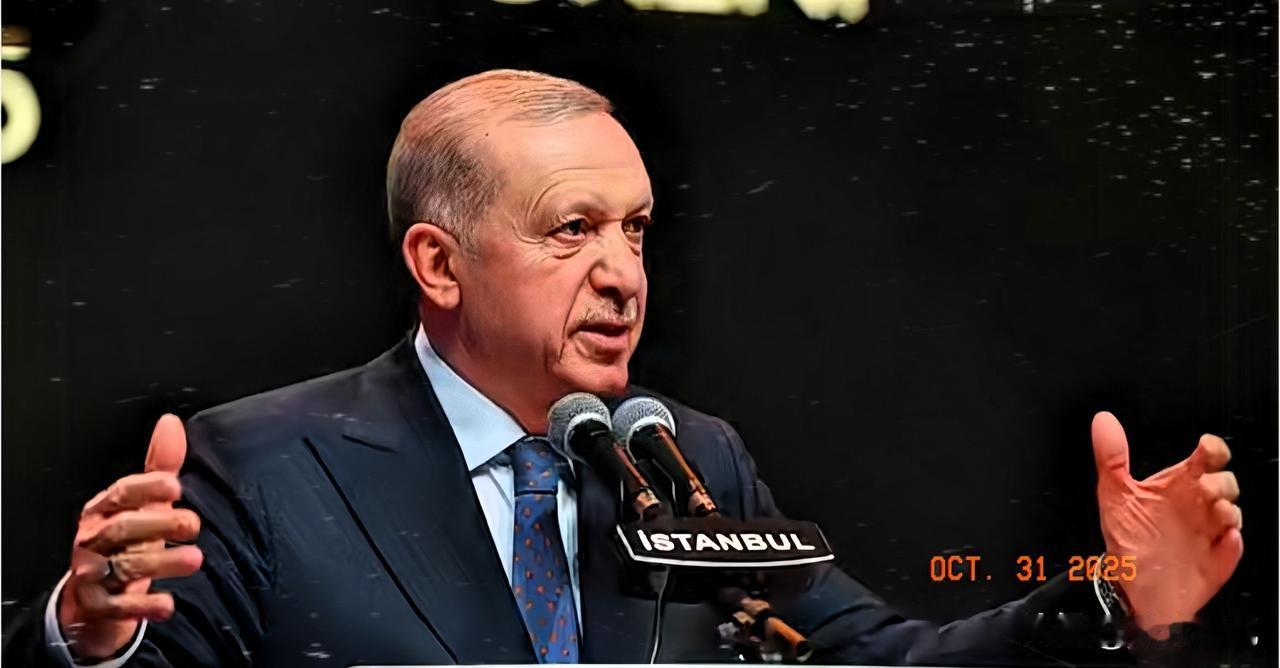 太尴尬了!土耳其总统埃尔多安与德国总理默茨的会面现场剑拔弩张,埃尔多安直指默茨政