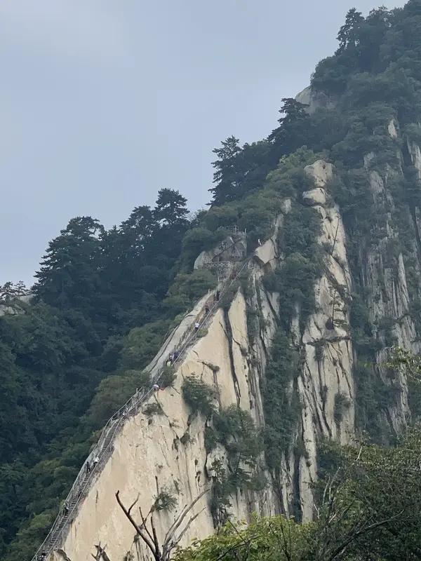 奠山、泰山、华山，到底哪个值得爬？90%的人都选错了！家人们，一提名山，是