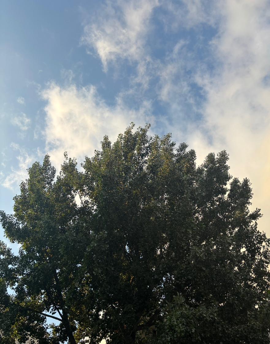 身心健康的人体会不到抑郁症有多严重。我最难受的时候感觉世界是静止的，明明身边有冰