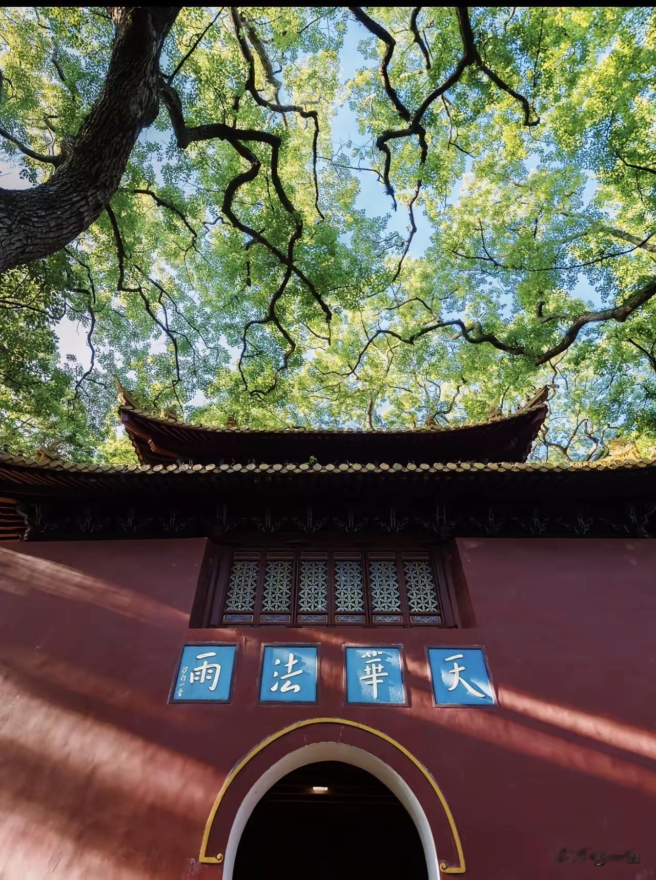 日本间谍伪装和尚潜伏寺院由来已久​1893年持日本寺院介绍信，伪装成日本僧人