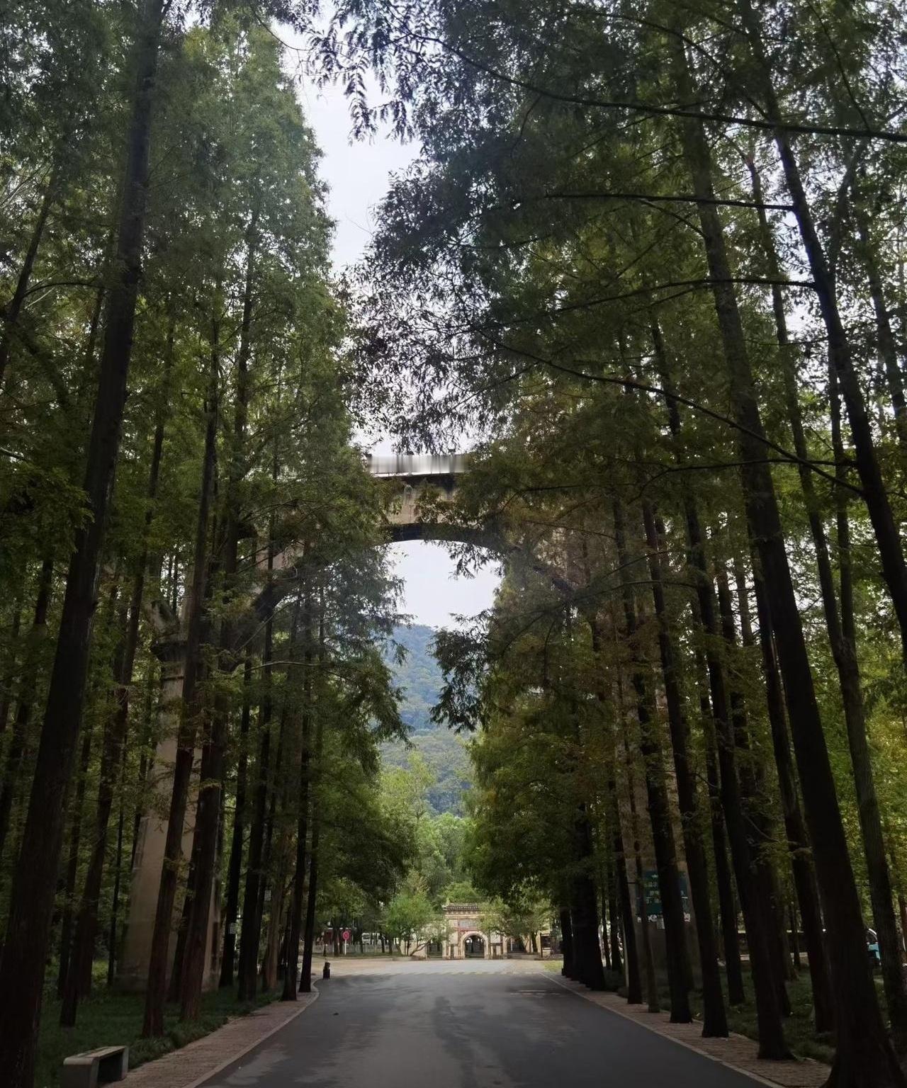 一场大病到底有多可怕？不是疼一阵就过去了，是能把一个家连人带钱一起拖垮。这6种病