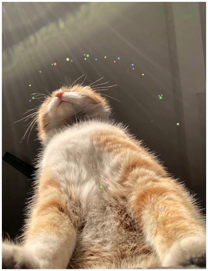 人，要和我一起晒太阳吗？