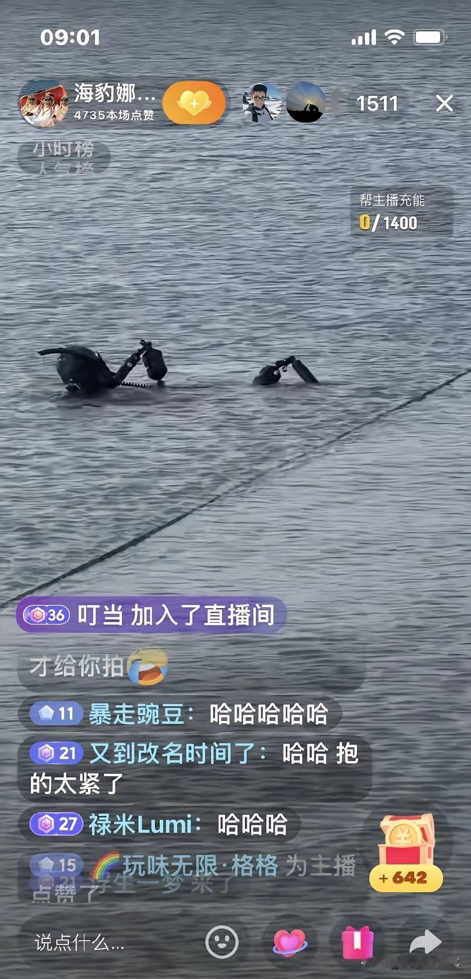 奉劝大家，别再往海里跳着"陪"娜娜了。短视频里看着暖心，穿身潜水服下水，
