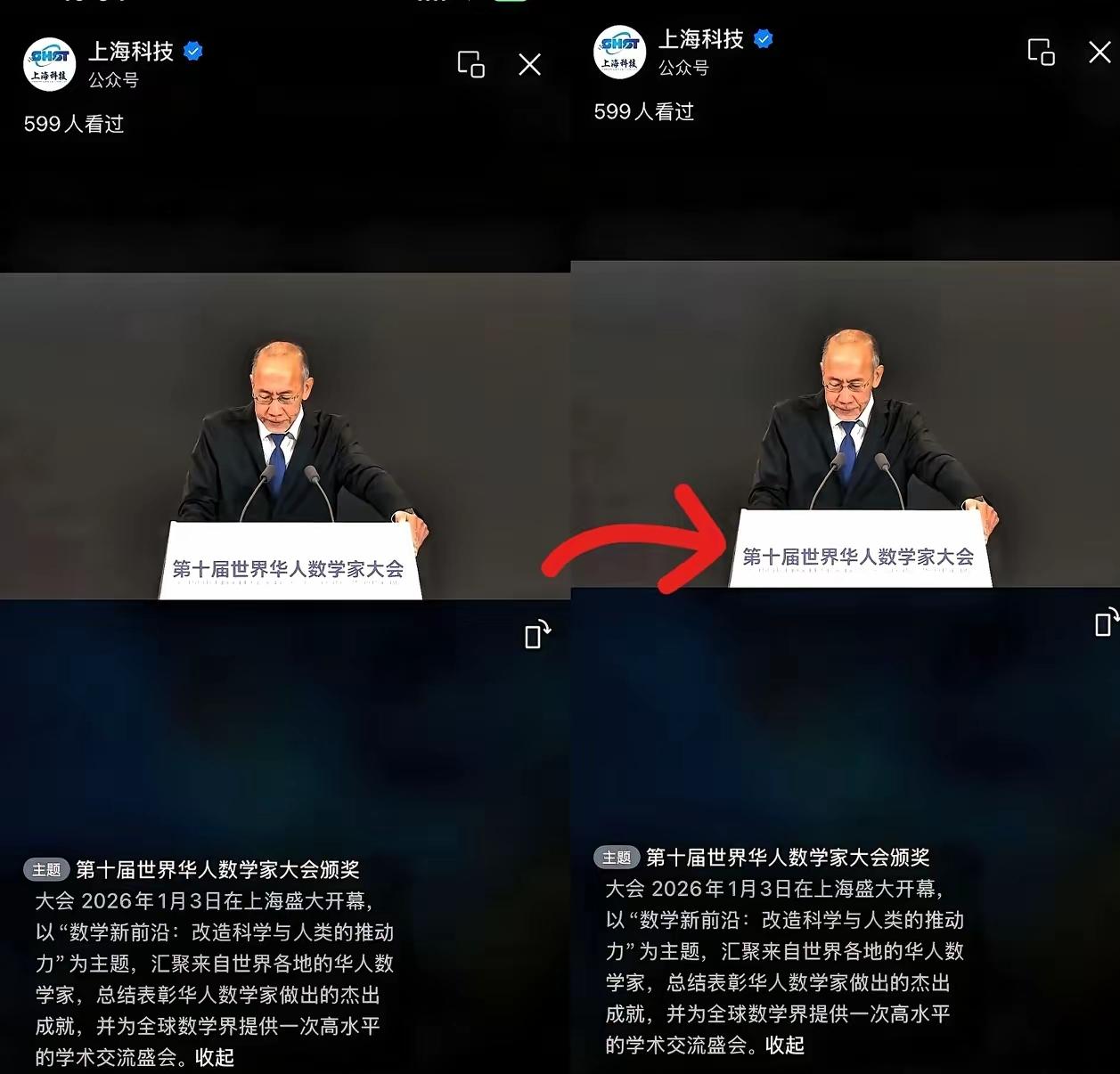 上海这场华人数学家大会，尴尬到我当场抠出迪士尼城堡！明明是全球华人的学术盛