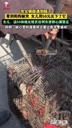 河南驻马店一小女孩在路边看到狗贩子正用夹子夹着狗狗的脖子她心痛不已，于是就拿仅有