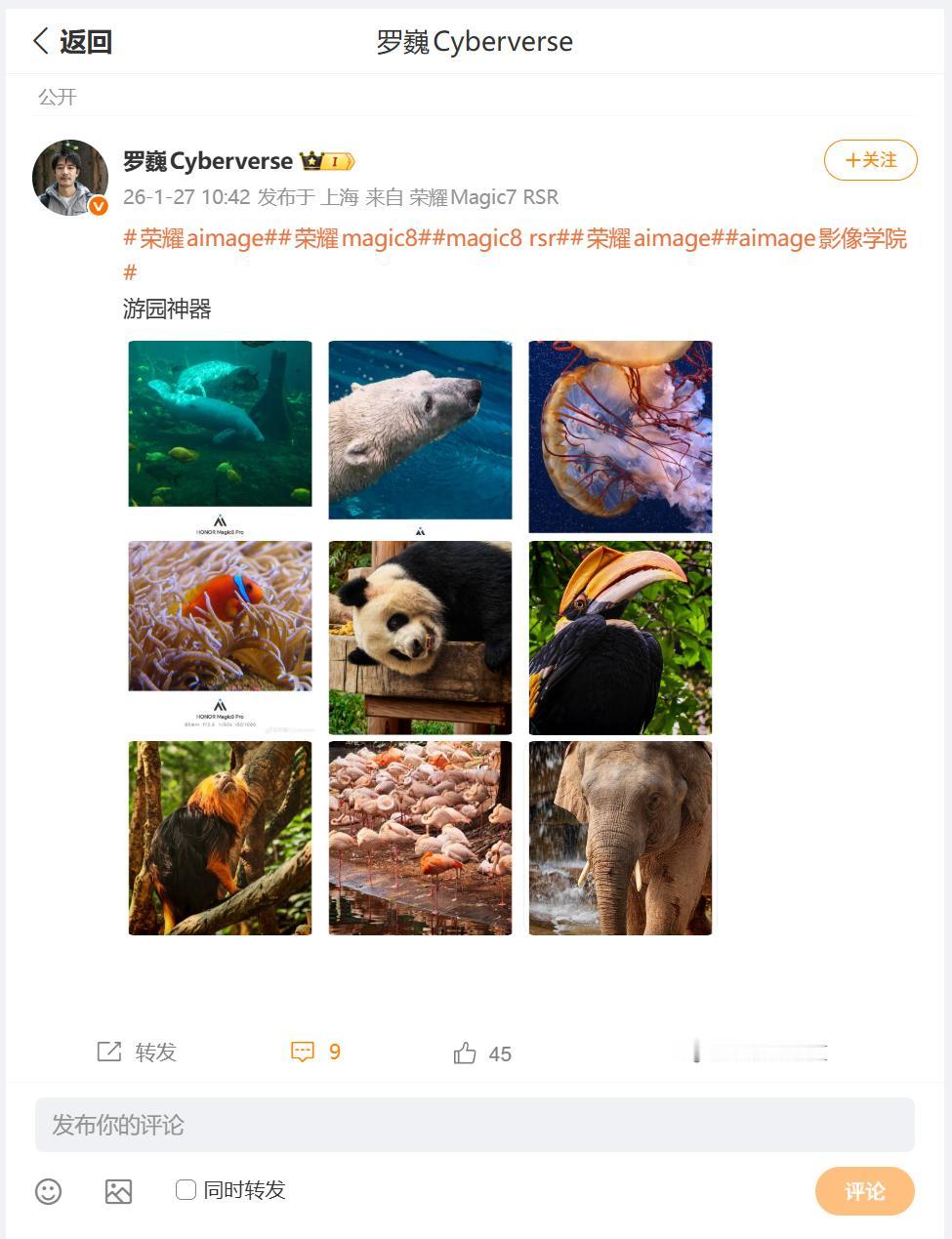 荣耀现阶段影像旗舰，就是荣耀Magic8系列了，人像写真工程师调教的蛮好，那么拍