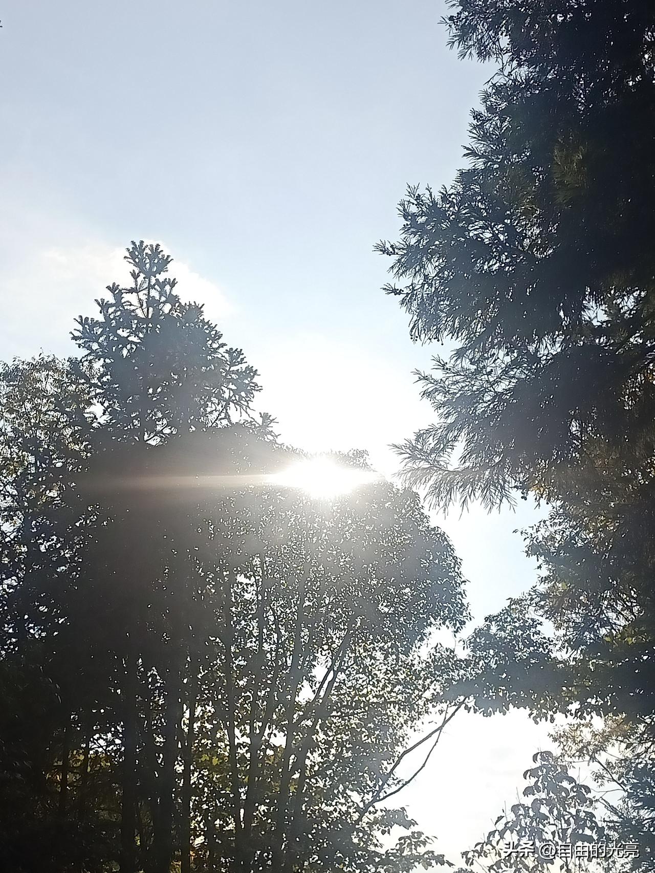 现在的主要问题是，农村空心化现象太严重，在农村从事农业生产的基本上都是50年代~