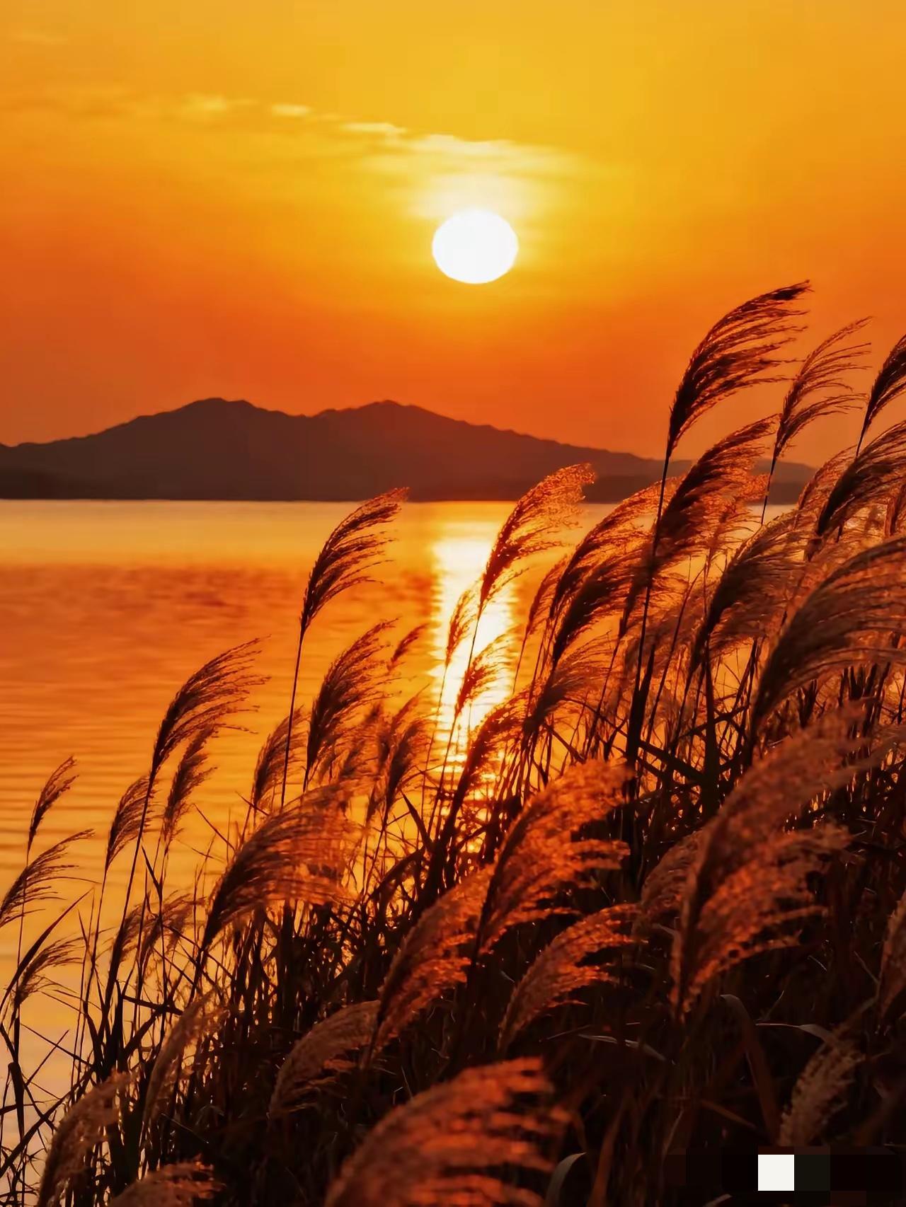 毁车的10个行为：一次性给你说明白毁车的10个行为：一次性给你说明白1