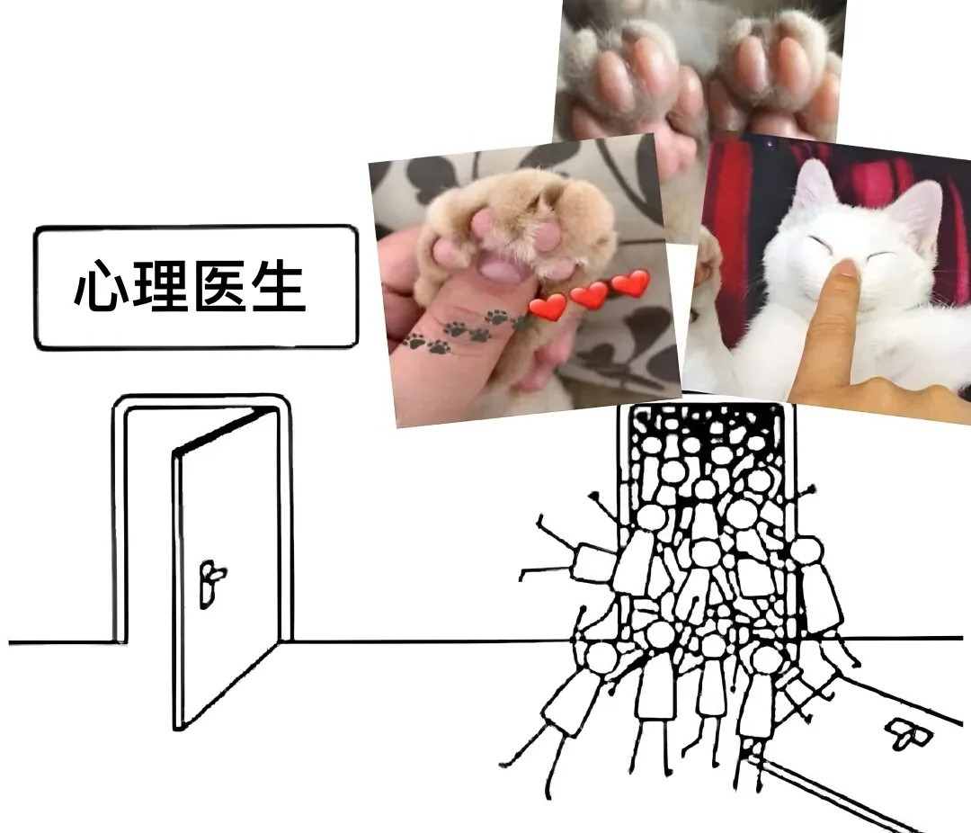 猫猫能给人带来好多好多的爱啊meme