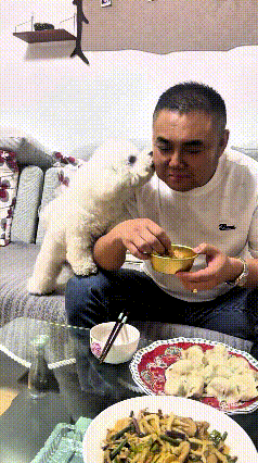 你瞅瞅这小狗，看主人吃好吃的，急得直蹦跶！先凑上去又亲又作揖，见主人不给，立马汪