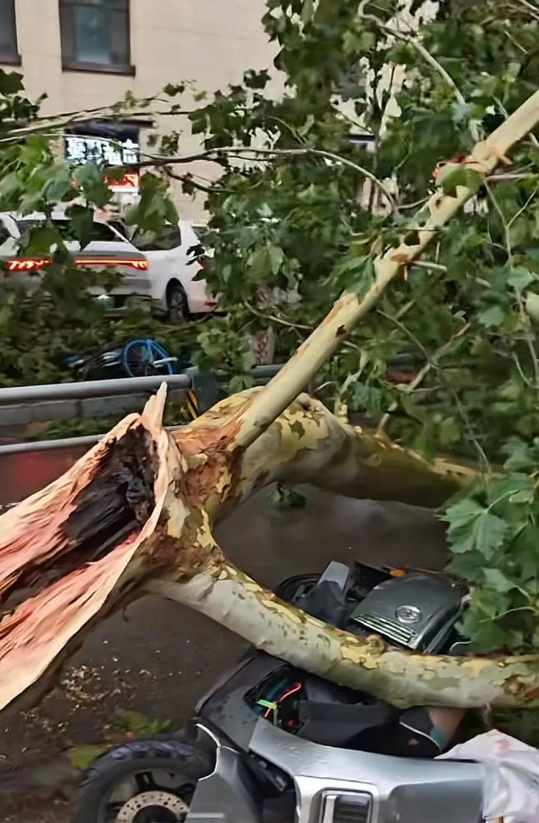 7号下午济南下的这一场大暴雨可是够了劲了，本想着天那么热下点雨凉快凉快，不成想这