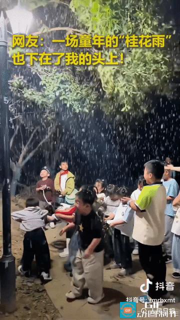合肥街头，秋天嘛，桂花香得有点过分。有个路人，也不知道是手痒还是故意逗小孩，伸