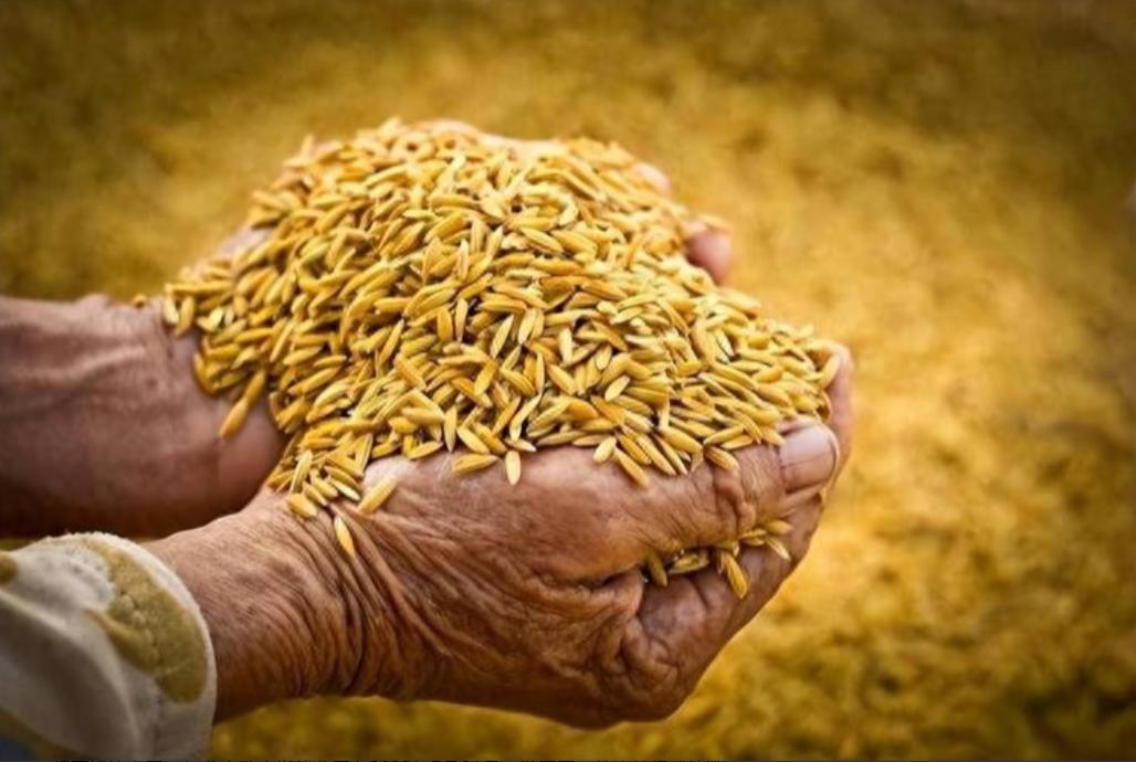 五大常任理事国的粮食自给率情况如下：第一，法国的粮食自给率高达329%。第二，俄