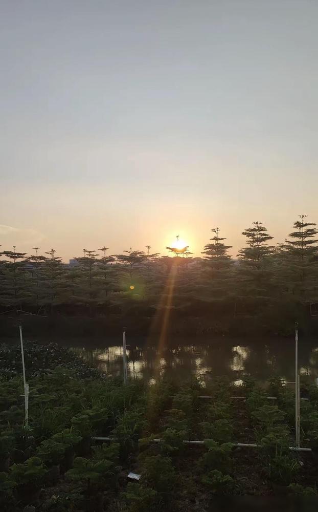 岳母89岁走的，喜丧。我作为女婿，葬礼上主动随了5000元，自觉仁至义尽。这