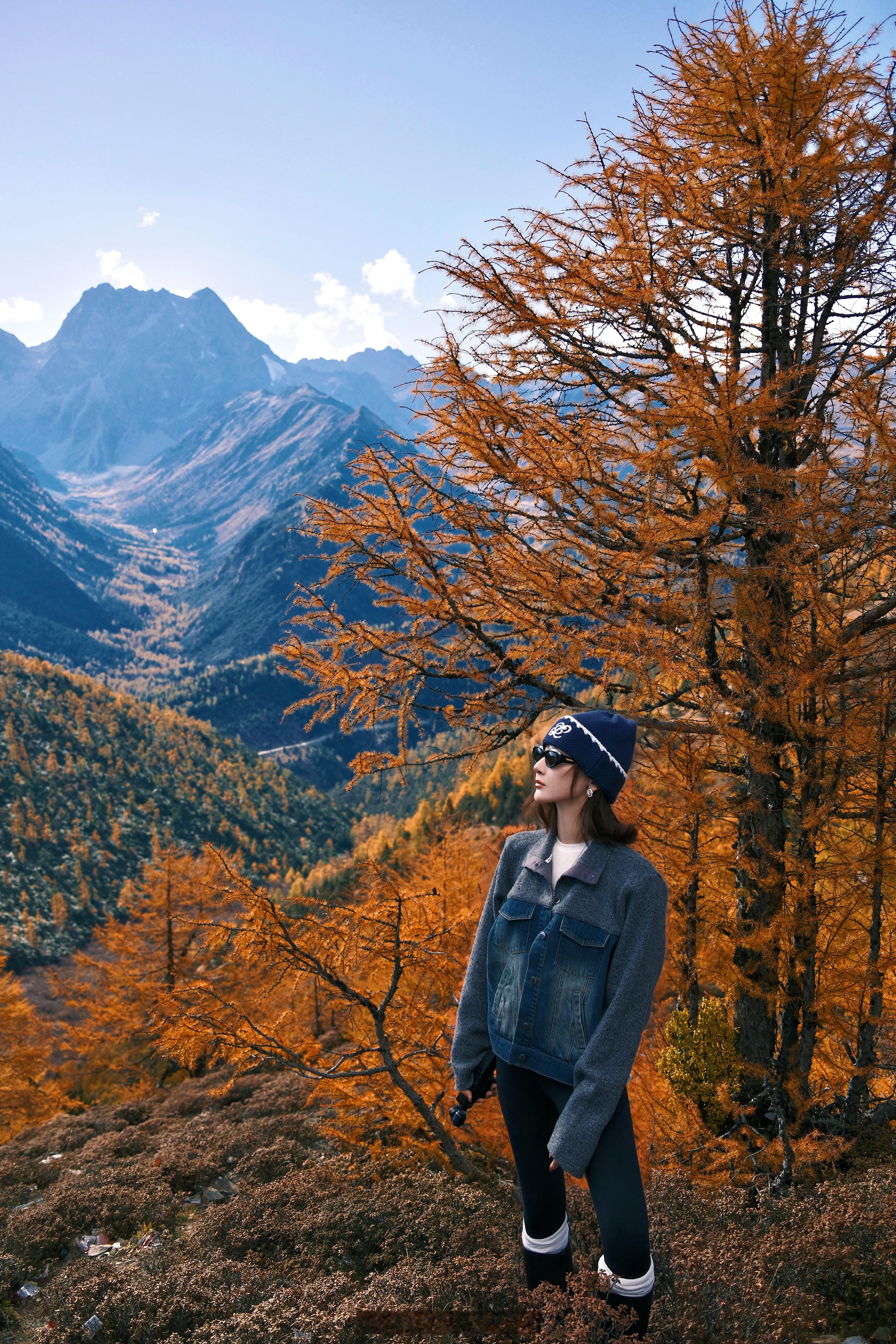 白马雪山封神秋景今年没有错过秋天🍁希望你也是十月底从香格里拉自驾前往梅里雪山
