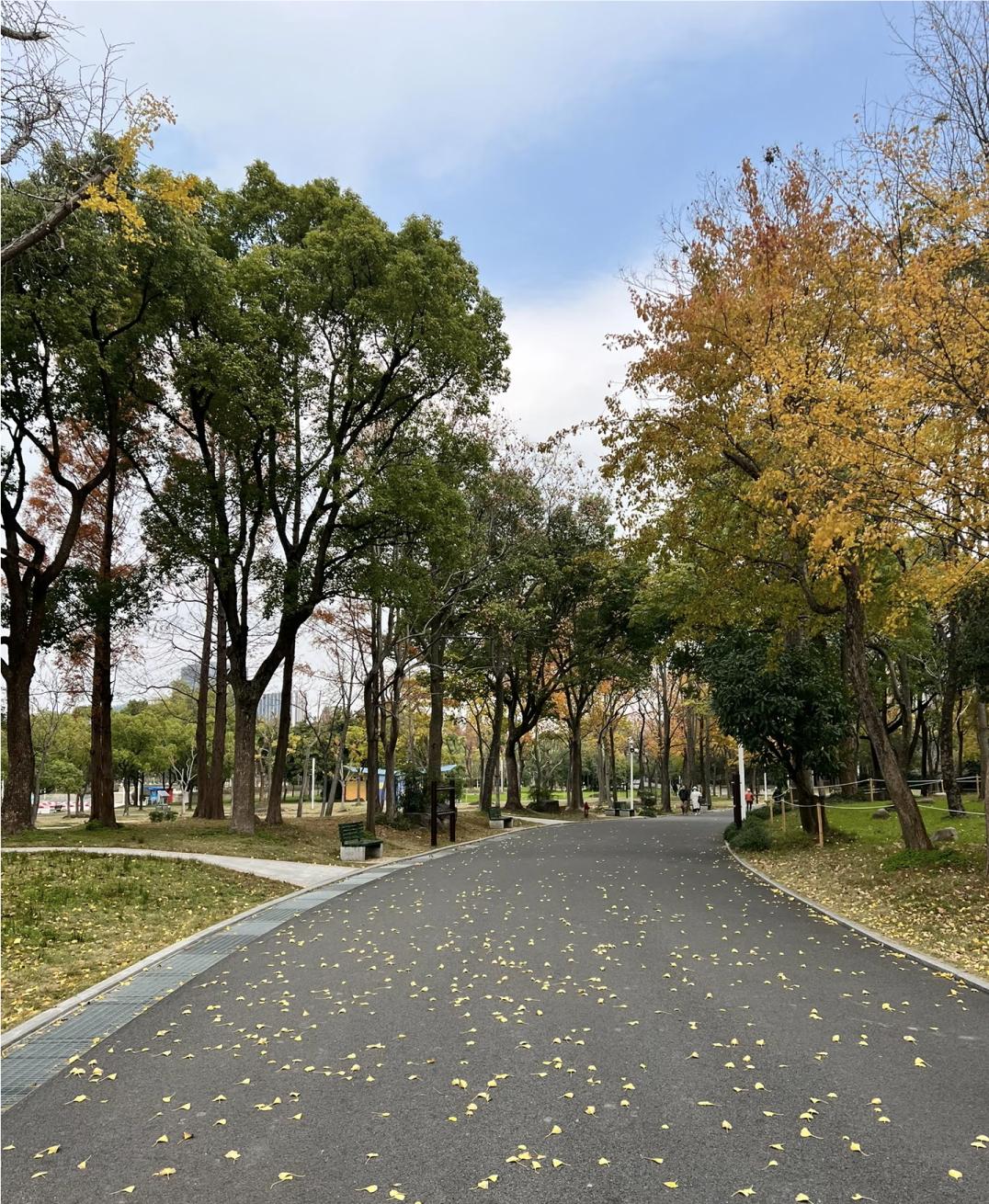 侄女今天去相亲，到了饭店刚坐下，那小伙子就说：“今天这顿，能AA吗？”侄女也没客